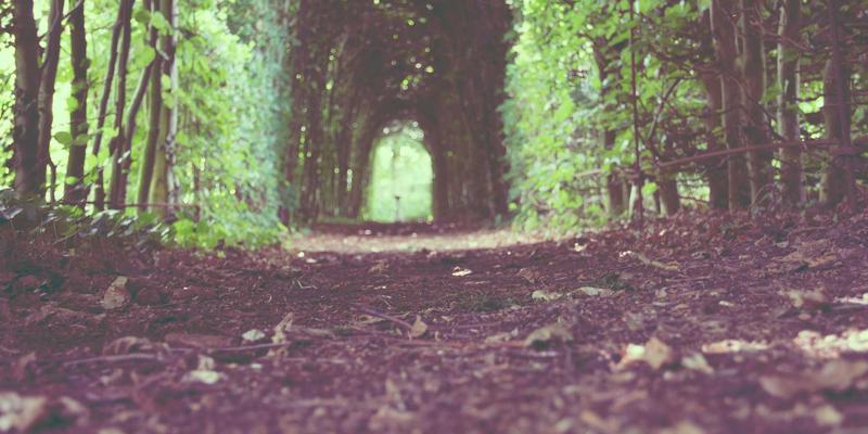 城市降温新范式：生态屋顶与透水铺装如何协同太阳能科技重塑城市气候