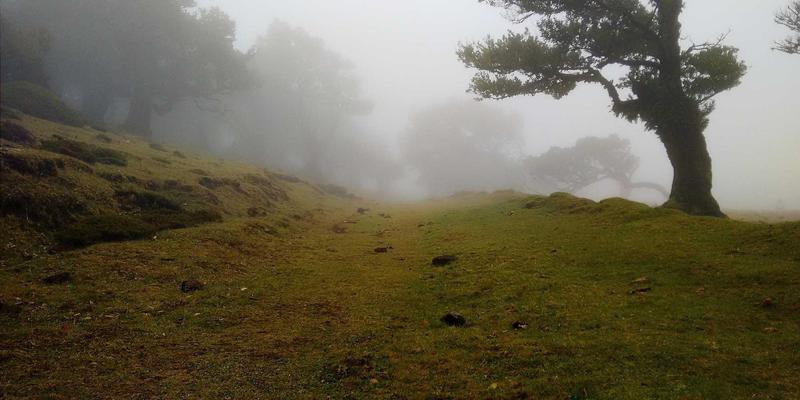 风能驱动未来：微塑料污染全流程防控的技术革命与可持续发展路径